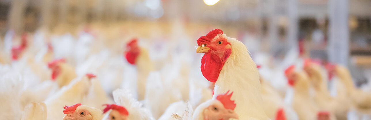 壹定发(中国集团)官方网站