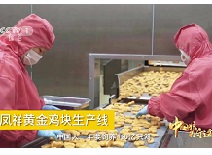 壹定发(中国集团)官方网站