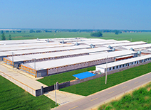 壹定发(中国集团)官方网站