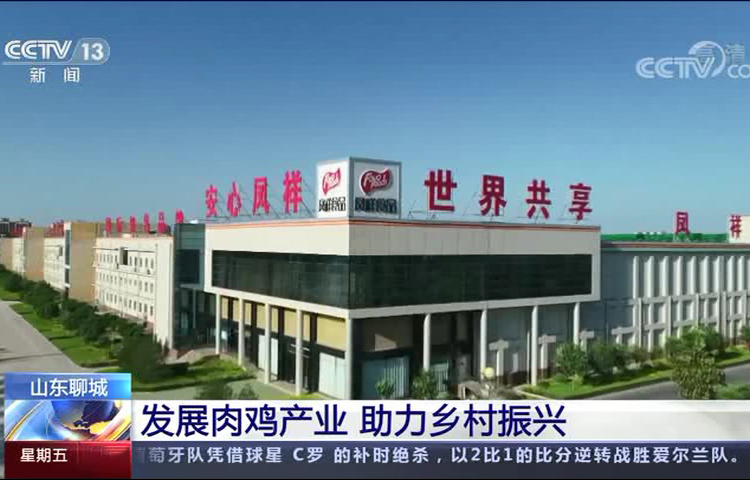 壹定发(中国集团)官方网站