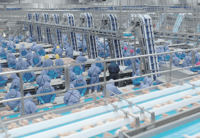 壹定发(中国集团)官方网站