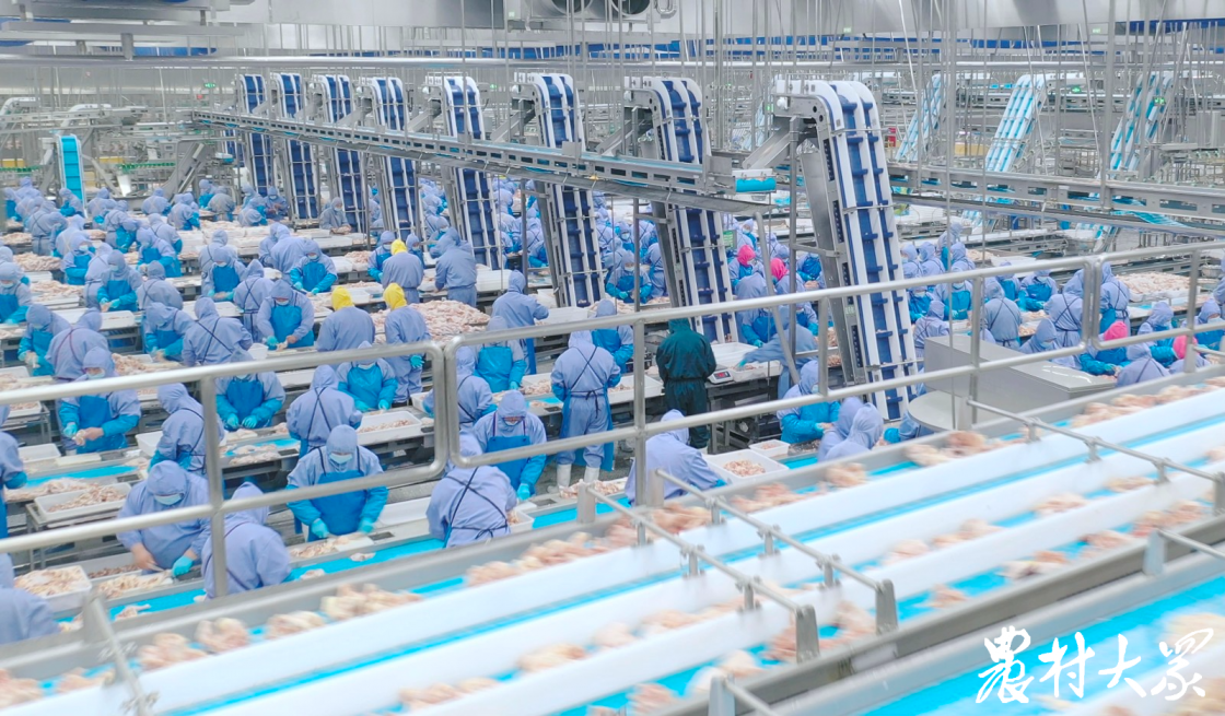 壹定发(中国集团)官方网站