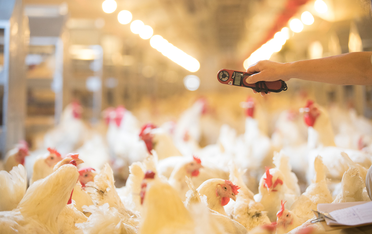 壹定发(中国集团)官方网站