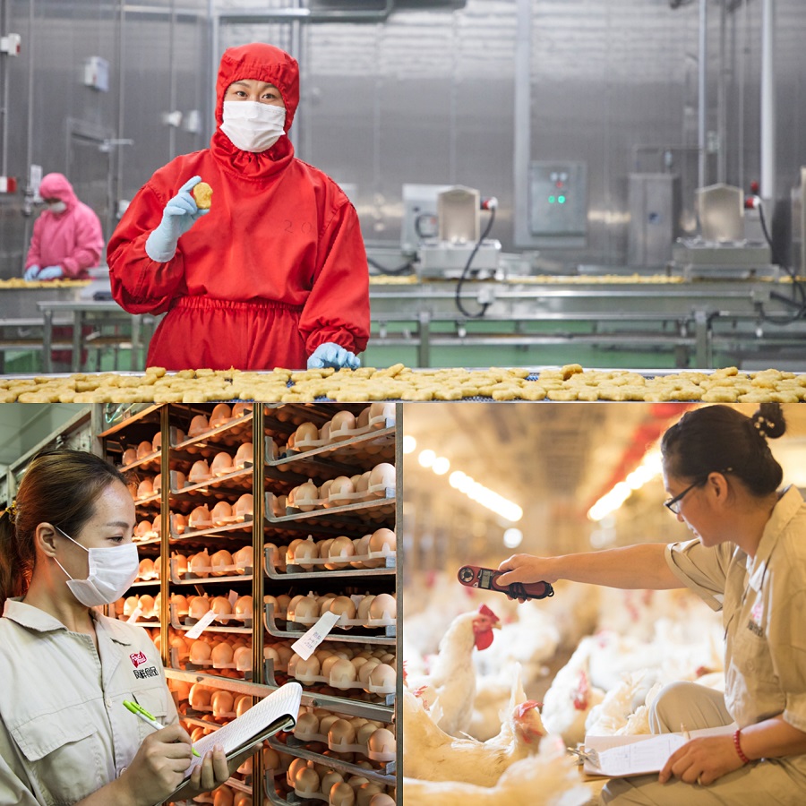 壹定发(中国集团)官方网站