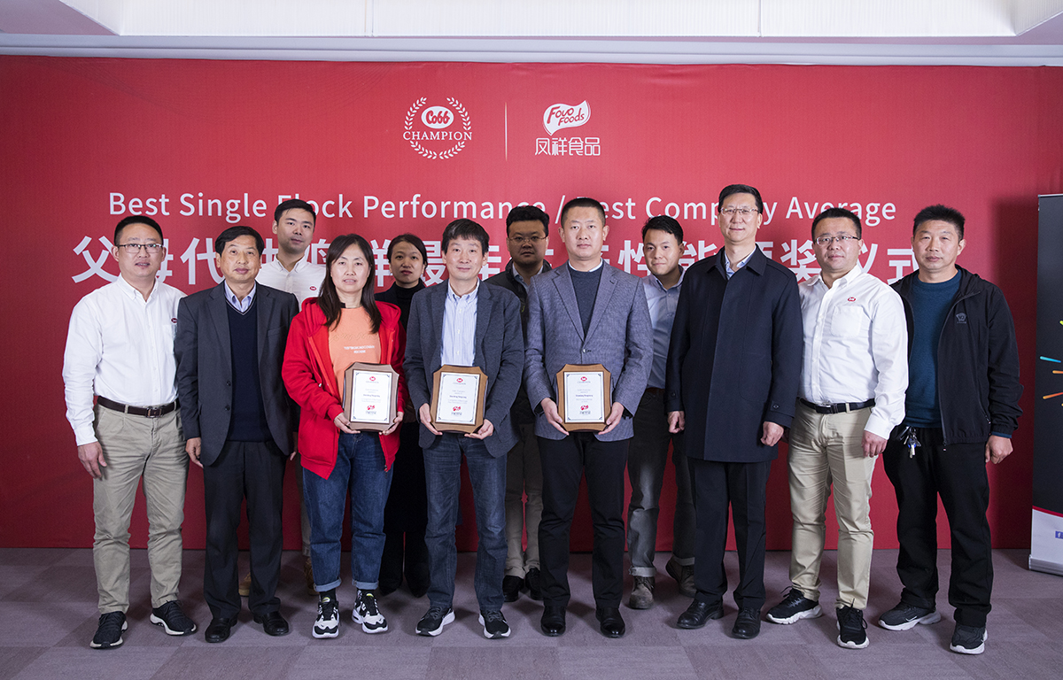 壹定发(中国集团)官方网站